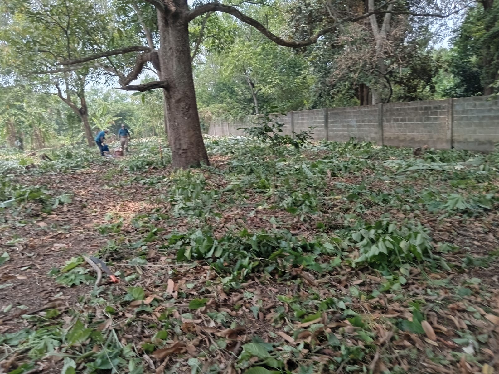 Imagen de la propiedad