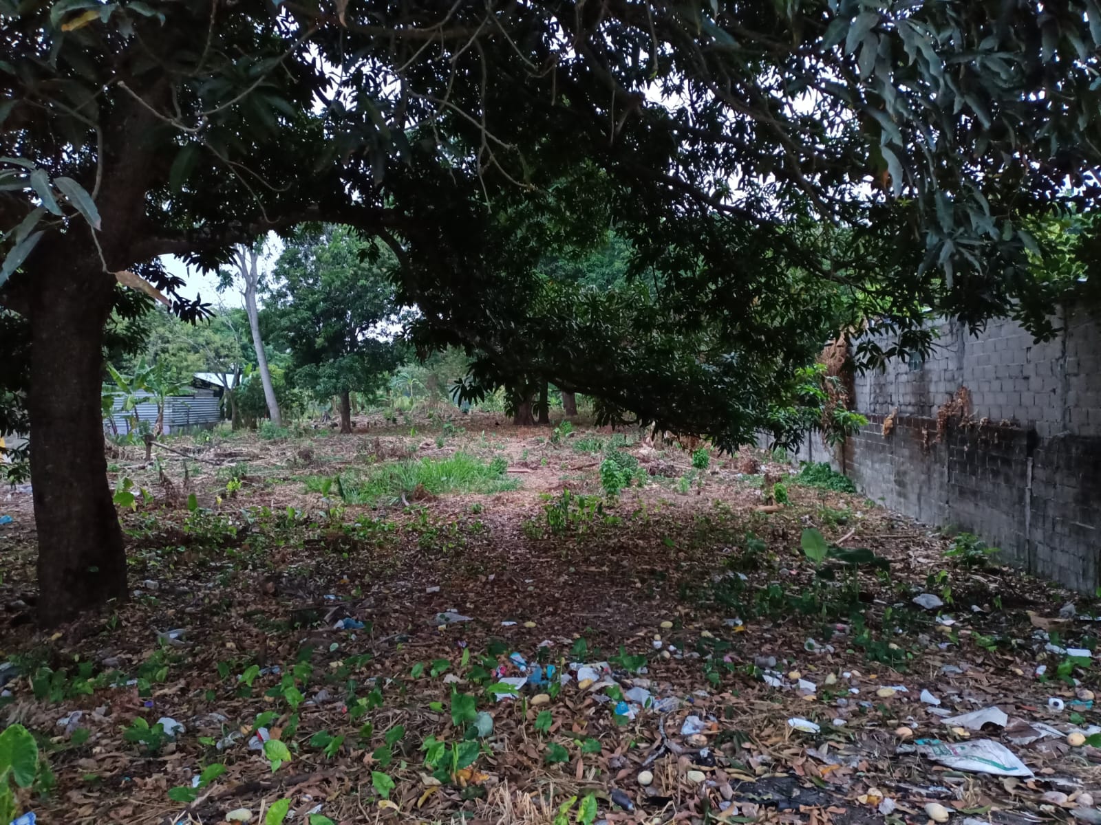 Imagen de la propiedad