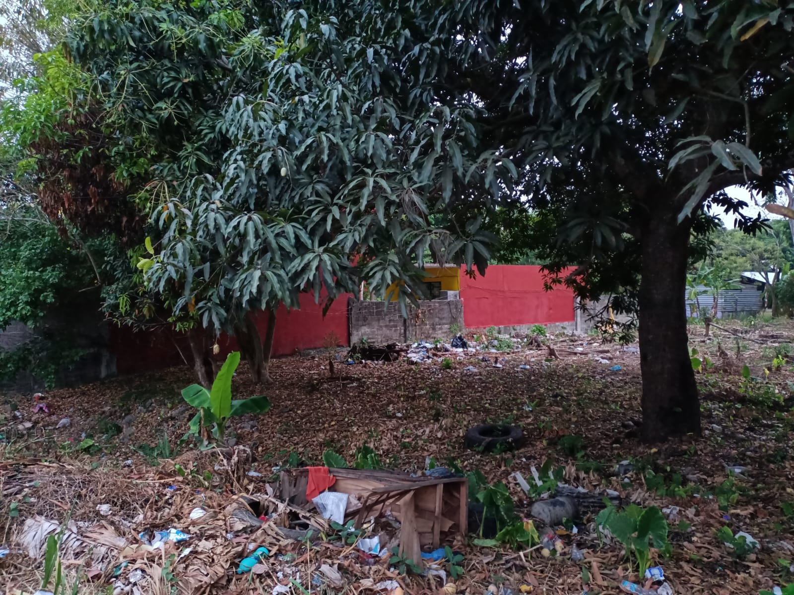 Imagen de la propiedad