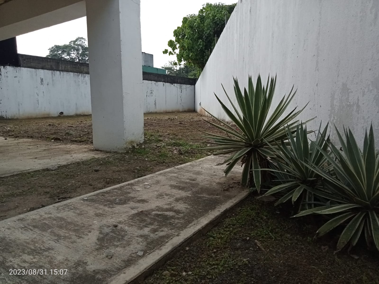 Imagen de la propiedad