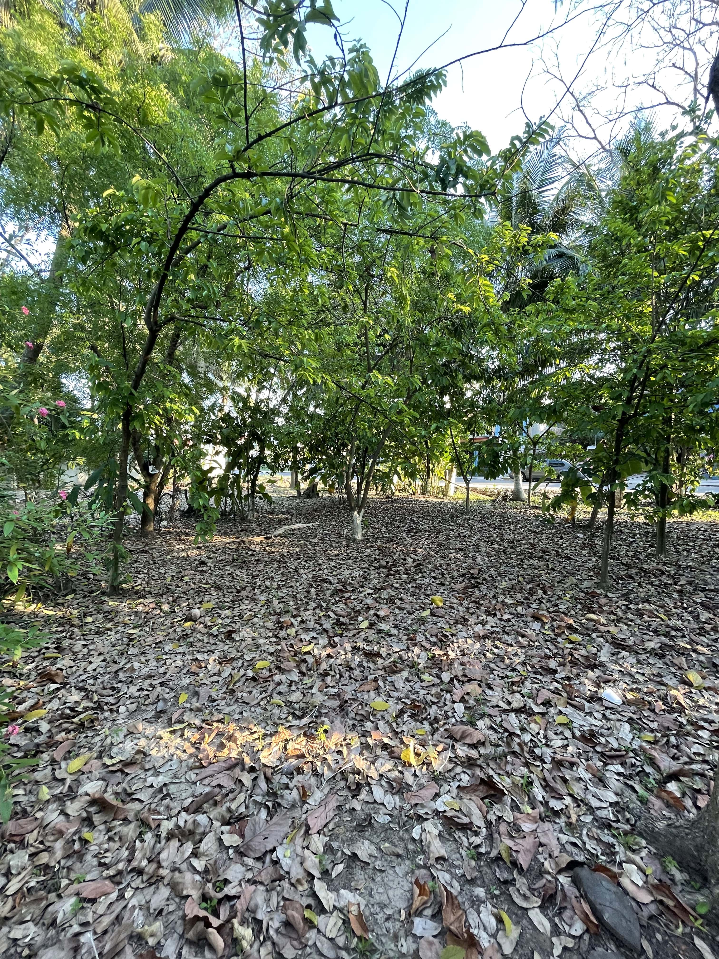 Imagen de la propiedad