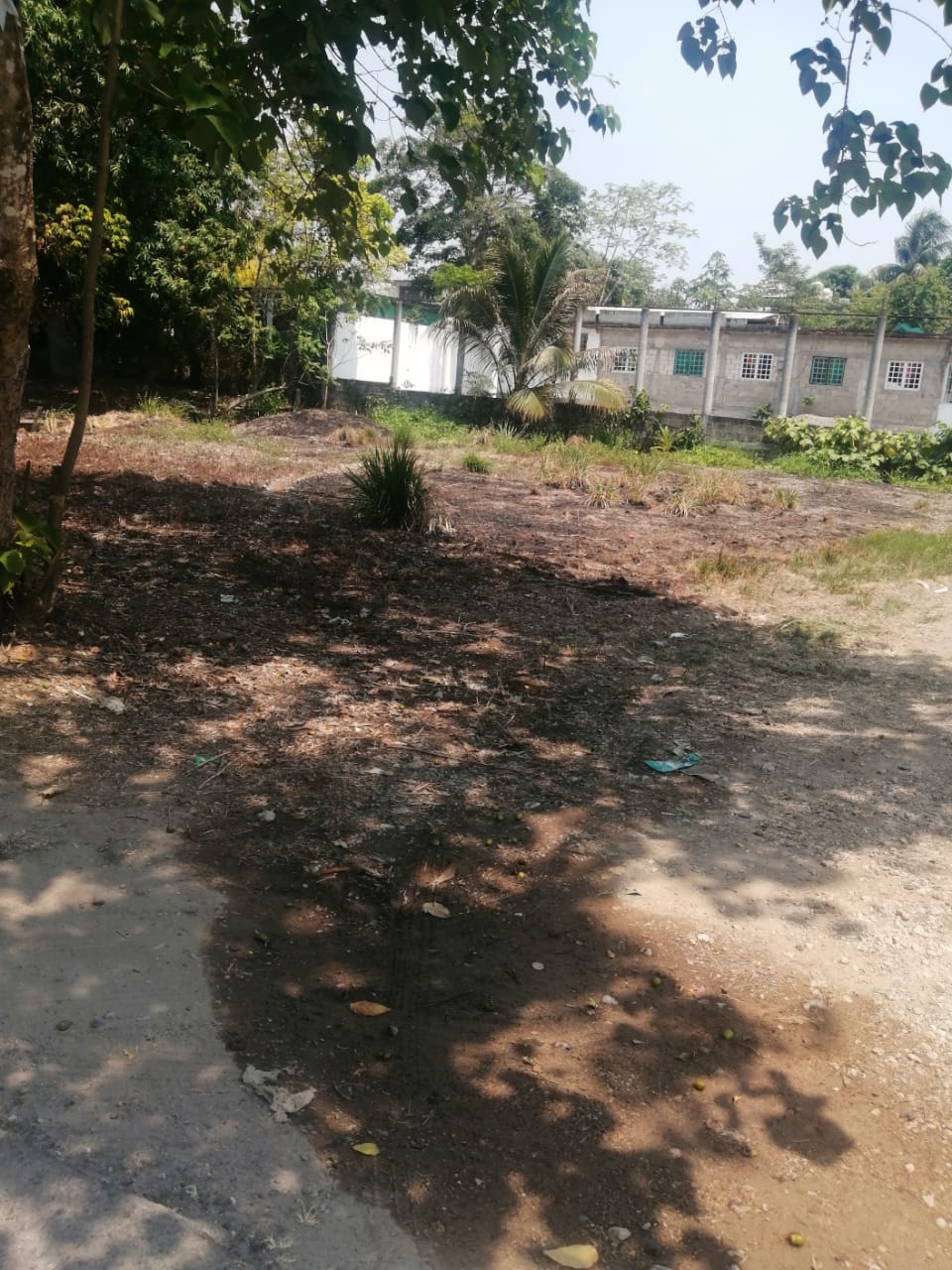 Imagen de la propiedad